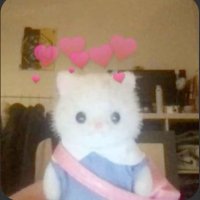 ✩ 彡 ⋆꙳ (@oz3_ol) 's Twitter Profile