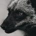 昏影 (@_kurefox) Twitter profile photo 昏影 (@_kurefox) Twitter profile photo