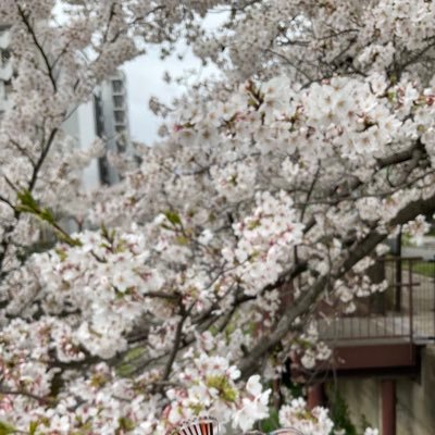 ,さんのプロフィール画像