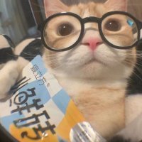 mier ✮⋆˙ ²⁵ (@cfoodrisotto) 's Twitter Profile Photo mier ✮⋆˙ ²⁵ (@cfoodrisotto) 's Twitter Profile Photo