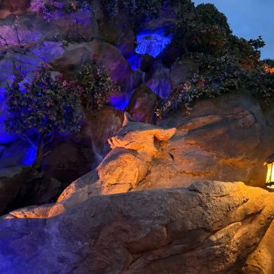 ika_luga21697's profile picture. 