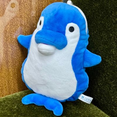ぽんず(遺伝子の6割が九州の人) on X: 