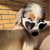 Yu🐶ALPHAZ🐺 (@xg_puppy0311) 's Twitter Profile
