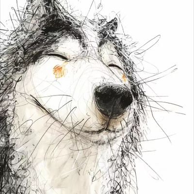 myrsotis's profile picture. 嗷呜嗷呜