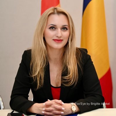 Consule Générale de Roumanie à Marseille, Diplomate de carrière, Ministère des Affaires Etrangères, #Roumanie🇷🇴🇫🇷