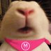 The Fluffle (@theflufflenft) Twitter profile photo The Fluffle (@theflufflenft) Twitter profile photo