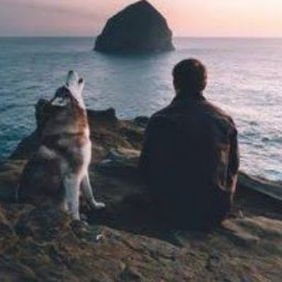 SureshKuma46023's profile picture. 