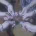 白 (@5dbzpg8xuf78566) Twitter profile photo 白 (@5dbzpg8xuf78566) Twitter profile photo