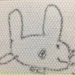 櫻井成美 (@nrmin324) 's Twitter Profile Photo 櫻井成美 (@nrmin324) 's Twitter Profile Photo