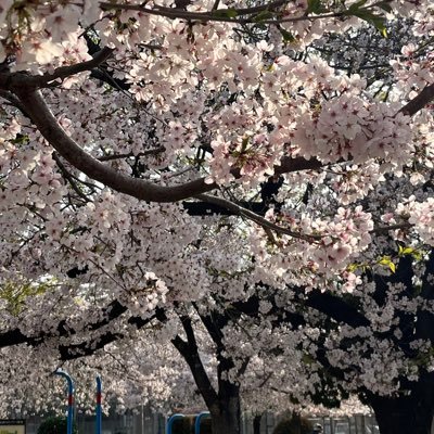 t7k10jun's profile picture. リターンズで田中圭さんにハマり。チェリまほで町田啓太さんに夢中。まっちーさんの事いっぱい知りたい。かなり昔に成人済み。赤楚衛二さん内野聖陽さん西島秀俊さん井上真央さん好きです。OL、チェリまほ、きのう何食べた？、花男は心に残る大切な作品。無言フォローいいね失礼します。フォロー歓迎｜無断転載❌