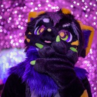 黒黄 (@kuroki_962) 's Twitter Profile Photo