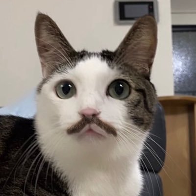 heytayooo15's profile picture. ↙️↖️♋↗️↘️