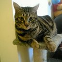 Esther Luk - @ta908 - Twitter