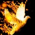 Web3dove 🕊️ 🥷 (@uriel_mary31072) Twitter profile photo Web3dove 🕊️ 🥷 (@uriel_mary31072) Twitter profile photo