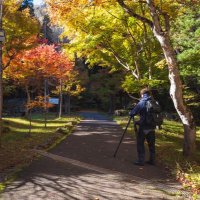 ながおか (@nagaokaphoto) 's Twitter Profile Photo ながおか (@nagaokaphoto) 's Twitter Profile Photo