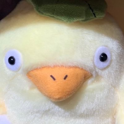 しょこらさんのプロフィール画像