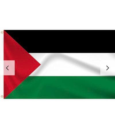 corr_sheila's profile picture. 