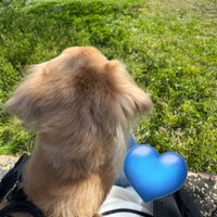 ใใ๐ (@j0208_r0827) 's Twitter Profile