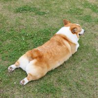 ふ (@minatonbo) 's Twitter Profile