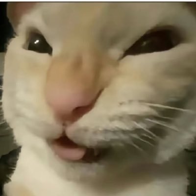 LumpyCactus24's profile picture. just a vibing through life 22|they/them