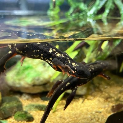 PReD9zWuQr31398's profile picture. 