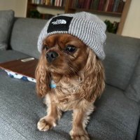 GetINYurBall (@yur_get) Twitter profile photo