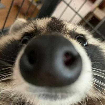 너인さんのプロフィール画像