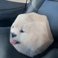 hennin (@henningsenow) 's Twitter Profile