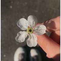 🪐ناهید (@nahid_ashh) Twitter profile photo