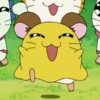 みこちゃん (@yuzuriha__516) Twitter profile photo