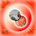 Heaven or Hell (@hoh_alpha) Twitter profile photo Heaven or Hell (@hoh_alpha) Twitter profile photo