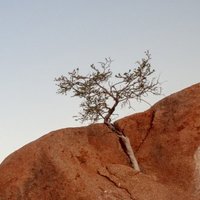 Fatih A (@atalayf) 's Twitter Profile
