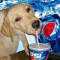 κ° ν (@ga1eyw) 's Twitter Profile Photo κ° ν (@ga1eyw) 's Twitter Profile Photo