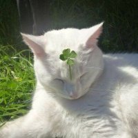 . (@29of_july) 's Twitter Profile