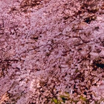 2ixpKyEwT862423's profile picture. 