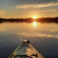 WizzzDom (@dombeaud22) 's Twitter Profile
