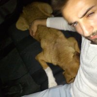 Göktuğ (@somesensprobl) 's Twitter Profile