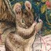 $8 million for making mice transgender. (@daglout) Twitter profile photo $8 million for making mice transgender. (@daglout) Twitter profile photo