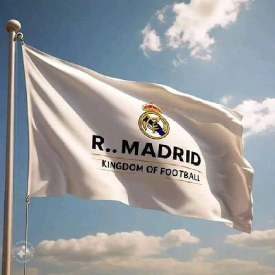 Hala Madrid! ⚽ Businessman & airdrop hunter chasing wins on and off the pitch. Passionate about Real Madrid & crypto.