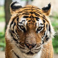 Alex (@alex12865237) 's Twitter Profile