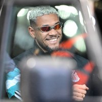 Doddzila (@doddzilasr) 's Twitter Profile