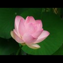 Sian Dawson - @sianidawson - Twitter