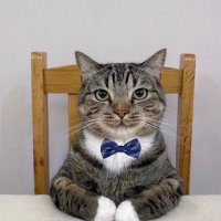 Stranger_ (@_ahmaduu) 's Twitter Profile