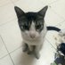 _-FAHMi-_ dp you like (HƎNTA!) (@adlifah64415133) Twitter profile photo _-FAHMi-_ dp you like (HƎNTA!) (@adlifah64415133) Twitter profile photo