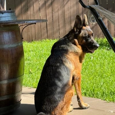 jseiglie57's profile picture. Former City of Miami Police Asst. Police Chief Master's Degree in Homeland Security