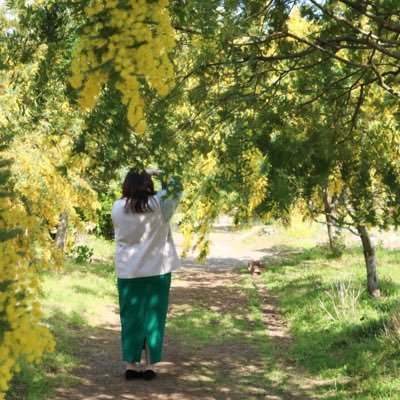 minminminto39's profile picture. ハンドメイドすきなひと。元、巳音です。知ってる方はぜひ仲良くしてください〜 最近は🎃ばっかり見てる。カメラしたりハンドメイドしたり。ハンドメイド垢はこちら↓ @mapoyo39お写真タグは#mimiあーと