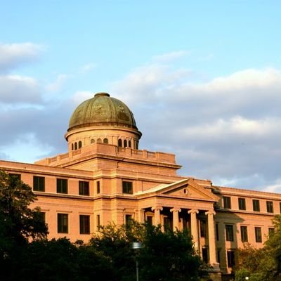 Freeheart2002's profile picture. AI makes dreams come true | CS nlp amateur