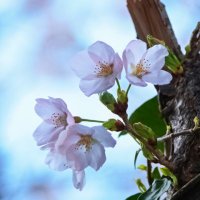 和部 (@eo8s1bkl5z6332) 's Twitter Profile