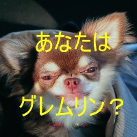 きもりやん (@kimoriyan) 's Twitter Profile Photo