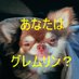 きもりやん (@kimoriyan) Twitter profile photo きもりやん (@kimoriyan) Twitter profile photo